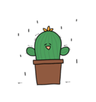 PARANA CACTUS（個別スタンプ：11）