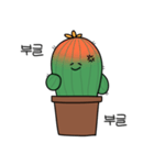 PARANA CACTUS（個別スタンプ：14）