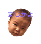 そうたんスタンプ！！（個別スタンプ：1）