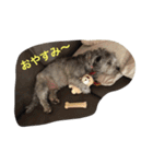 ぶー太郎さんコレクション ①（個別スタンプ：9）