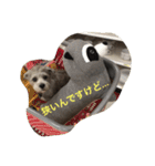 ぶー太郎さんコレクション ①（個別スタンプ：19）