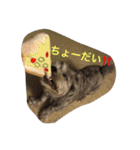 ぶー太郎さんコレクション ①（個別スタンプ：27）