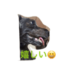 ダップー【らん】挨拶文（個別スタンプ：5）