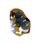 サクくん（個別スタンプ：16）