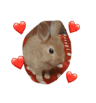 テト（個別スタンプ：6）