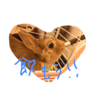 テト（個別スタンプ：9）