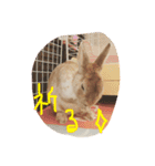 テト（個別スタンプ：14）