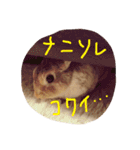 テト（個別スタンプ：16）