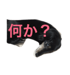 ダックスフントのQOOちゃん（個別スタンプ：22）