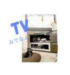 猫ですけど（個別スタンプ：4）