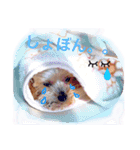 フリベリちゃん2（個別スタンプ：6）