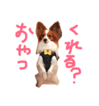 ルークさんの一日（個別スタンプ：1）