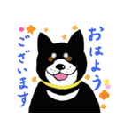 湘南の黒犬（個別スタンプ：1）