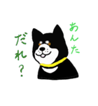 湘南の黒犬（個別スタンプ：2）