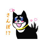 湘南の黒犬（個別スタンプ：3）
