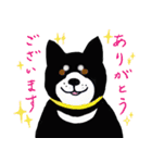 湘南の黒犬（個別スタンプ：4）