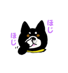 湘南の黒犬（個別スタンプ：5）