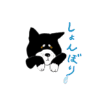 湘南の黒犬（個別スタンプ：7）
