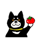 湘南の黒犬（個別スタンプ：11）