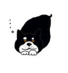 湘南の黒犬（個別スタンプ：12）