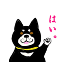 湘南の黒犬（個別スタンプ：15）