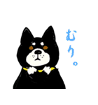 湘南の黒犬（個別スタンプ：16）
