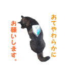 湘南の黒犬（個別スタンプ：31）