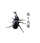 ココざんまい（個別スタンプ：32）