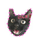 コロタン（個別スタンプ：5）
