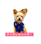 チャピーの感情（個別スタンプ：6）