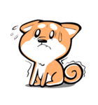 Scampy the Shiba Inu（個別スタンプ：10）