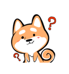 Scampy the Shiba Inu（個別スタンプ：12）