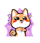 Scampy the Shiba Inu（個別スタンプ：13）