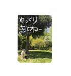 ベルブル（個別スタンプ：11）