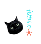 黒猫ナナちゃんのスタンプ（個別スタンプ：1）