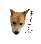 クク.021（個別スタンプ：1）