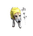 クク.021（個別スタンプ：5）