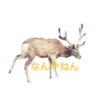 tamastamp フォト（個別スタンプ：3）