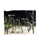 tamastamp フォト（個別スタンプ：8）