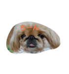 ぺきちゃんの1日（個別スタンプ：6）