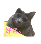 サシャ様（個別スタンプ：6）