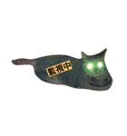 キジトラ猫のルナ（個別スタンプ：11）
