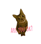 キジトラ猫のルナ（個別スタンプ：13）
