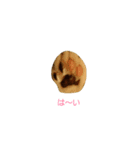 Catchat（個別スタンプ：7）