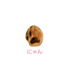 Catchat（個別スタンプ：8）