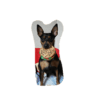 minpin（個別スタンプ：3）