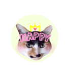 ねこ 富士山 ふくちゃんスタンプ♡（個別スタンプ：5）