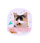 ねこ 富士山 ふくちゃんスタンプ♡（個別スタンプ：6）