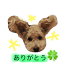 りょうまくん。（個別スタンプ：5）