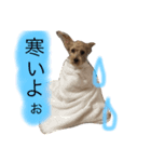 りょうまくん。（個別スタンプ：6）